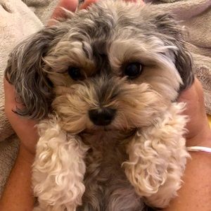 Meet your Posher, Beth